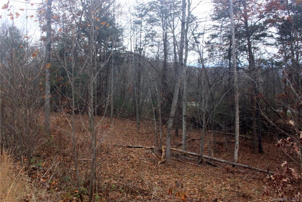 22 Bachelder Drive Candler NC 28715