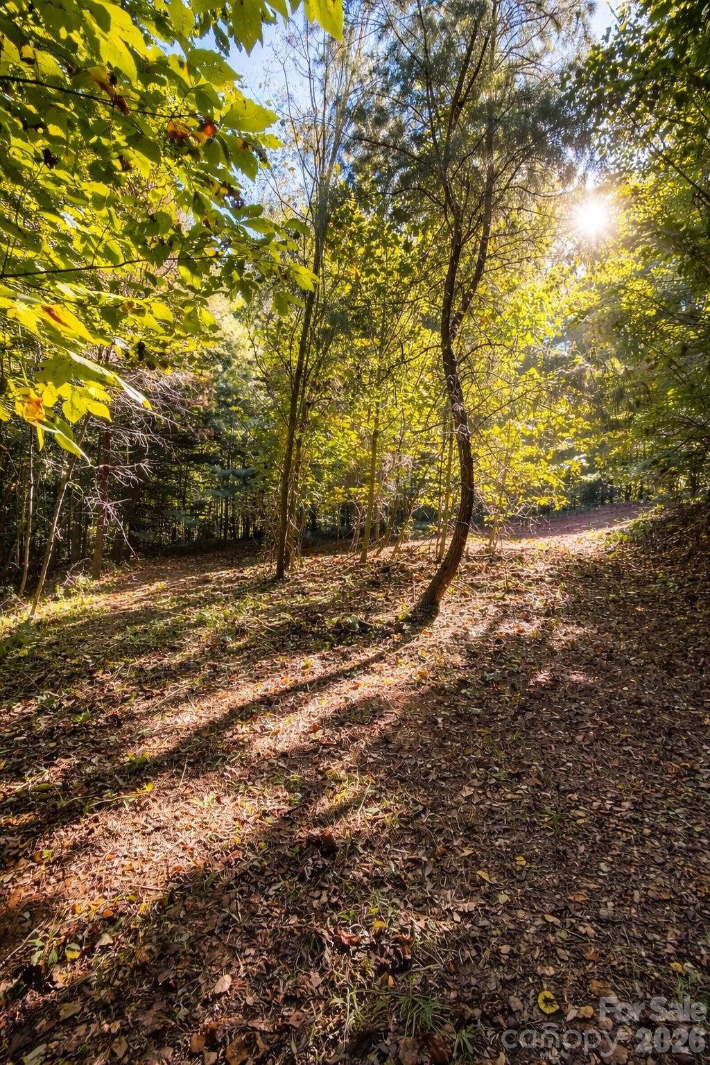 140 Johns Ridge Parkway Lenoir NC 28645