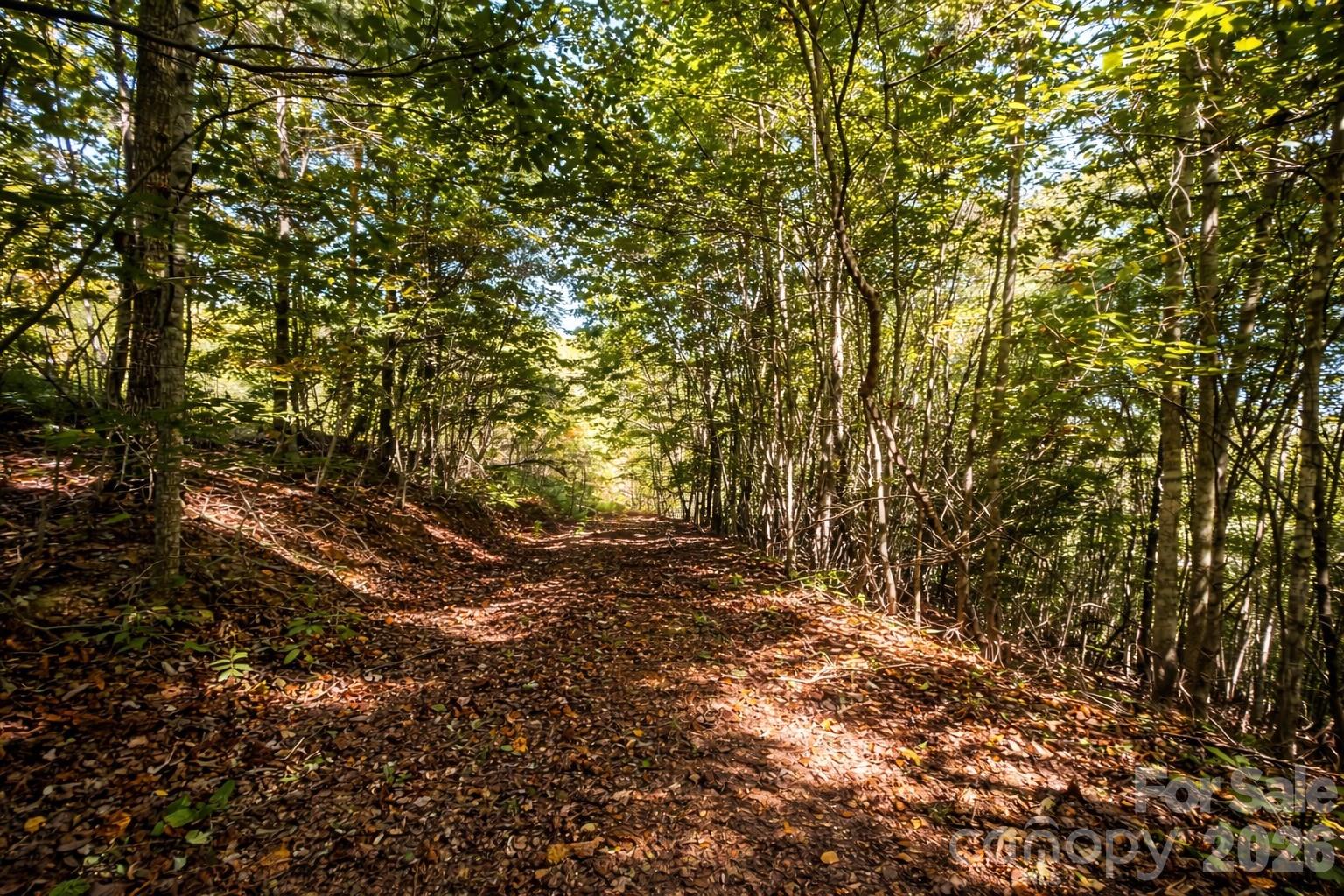 140 Johns Ridge Parkway Lenoir NC 28645