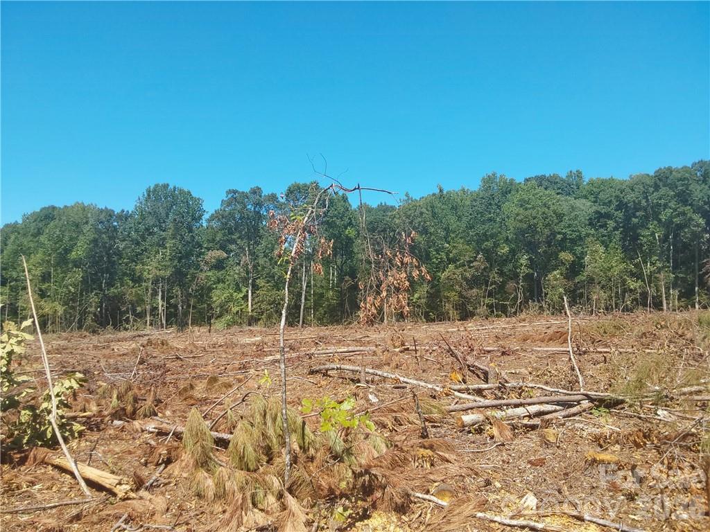 1209 Requa Road Cherryville NC 28021
