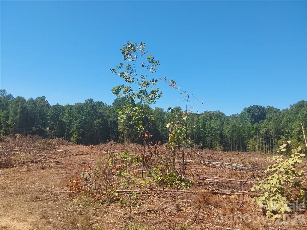 1209 Requa Road Cherryville NC 28021
