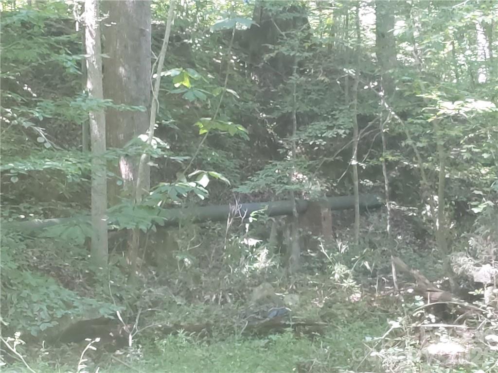 1209 Requa Road Cherryville NC 28021