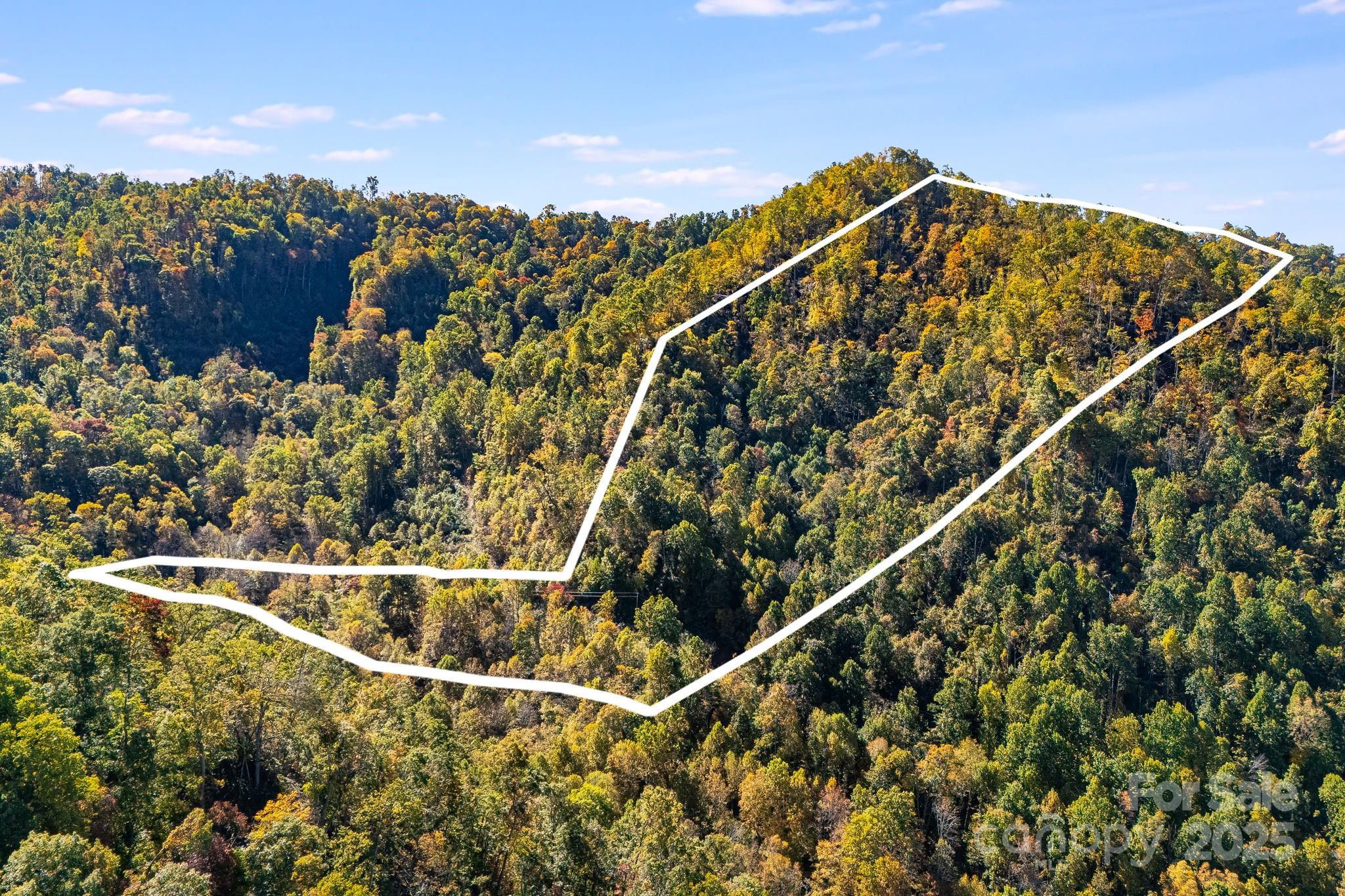 000 Hamburg Road Mars Hill NC 28754