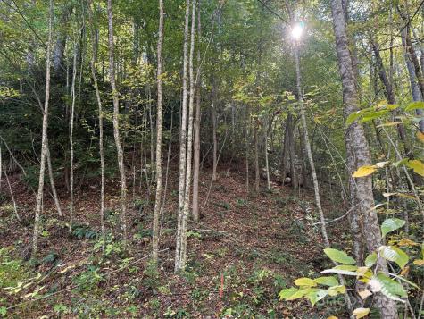000 Hamburg Road Mars Hill NC 28754