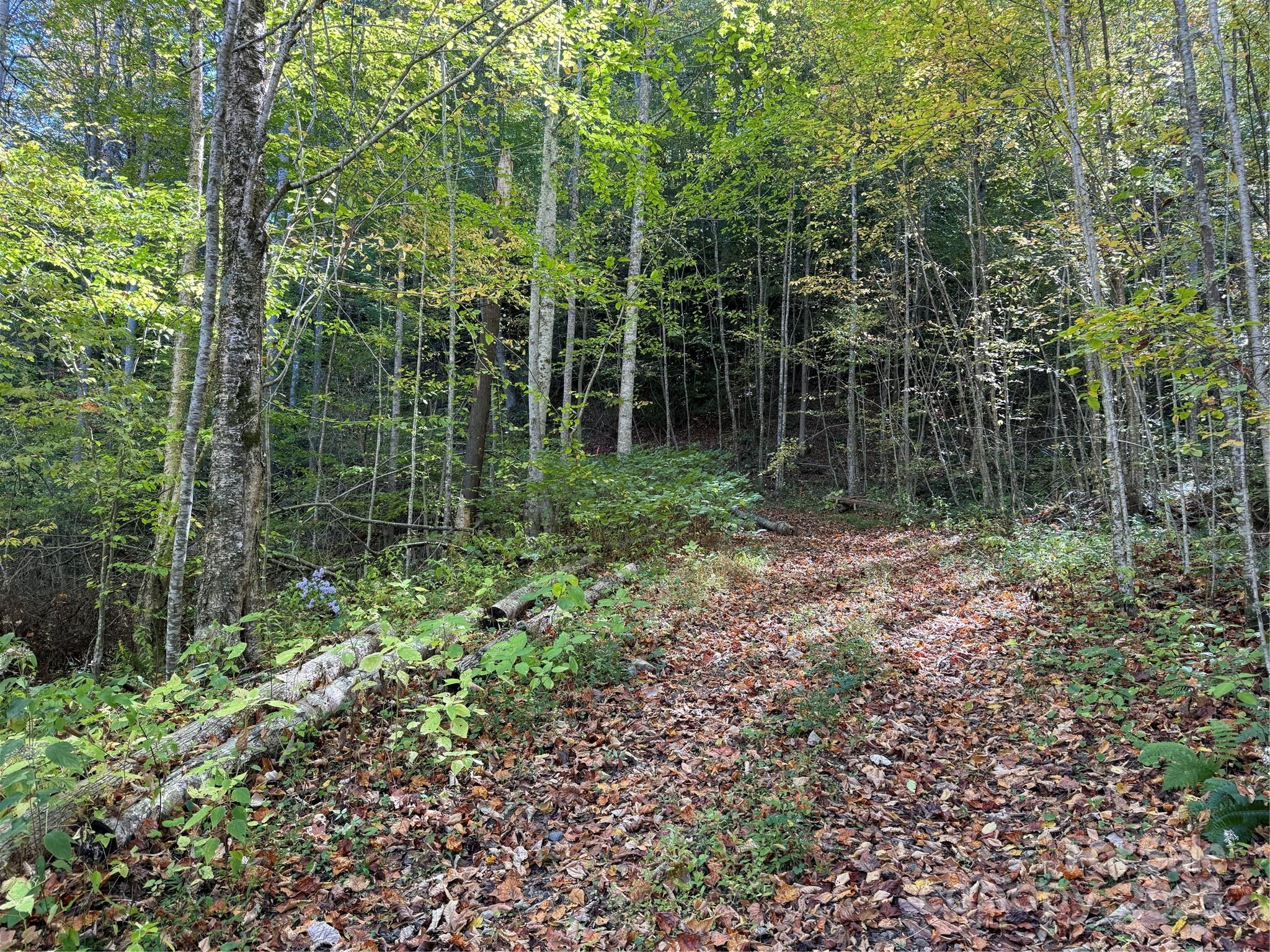 000 Hamburg Road Mars Hill NC 28754
