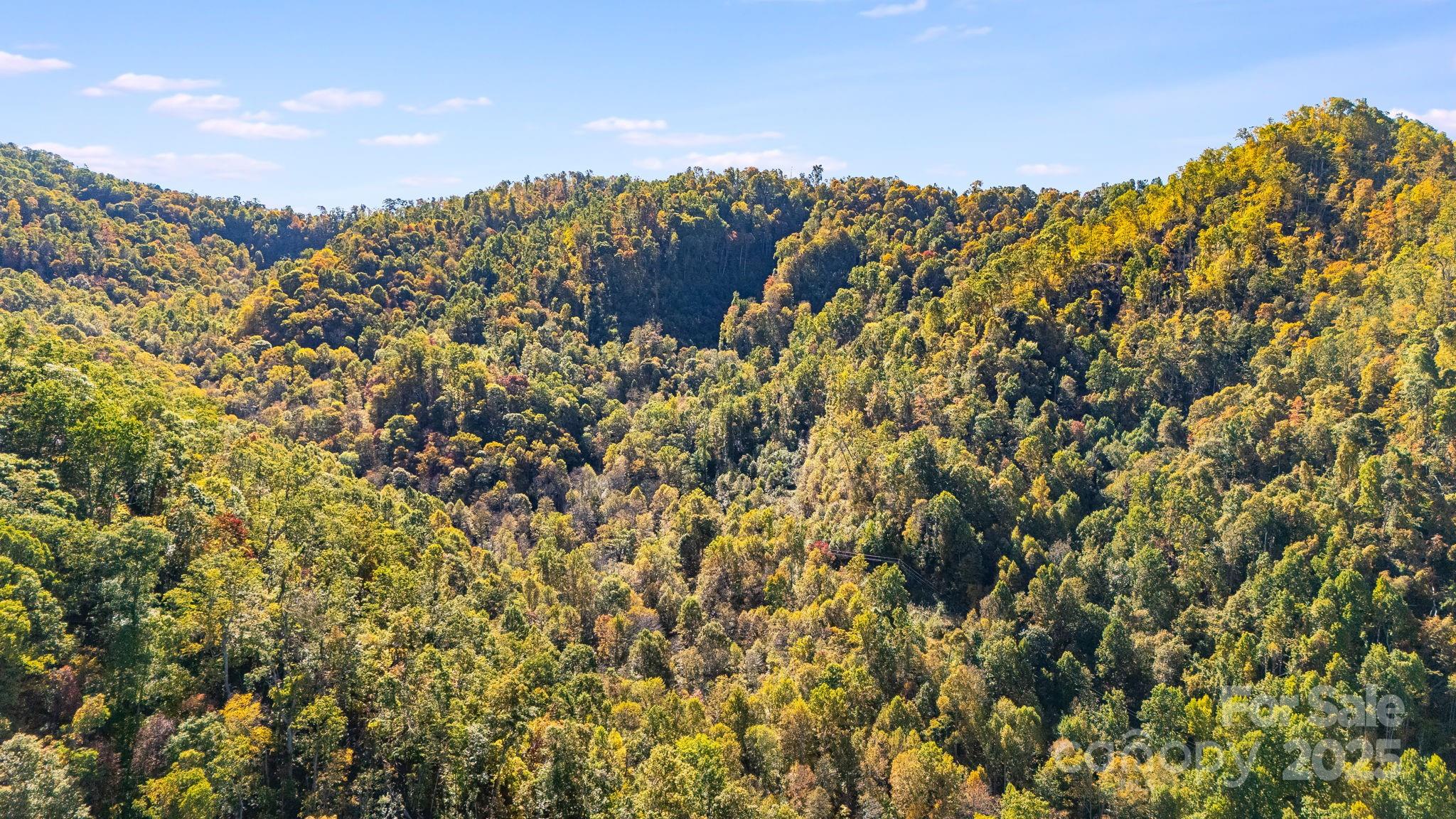 000 Hamburg Road Mars Hill NC 28754