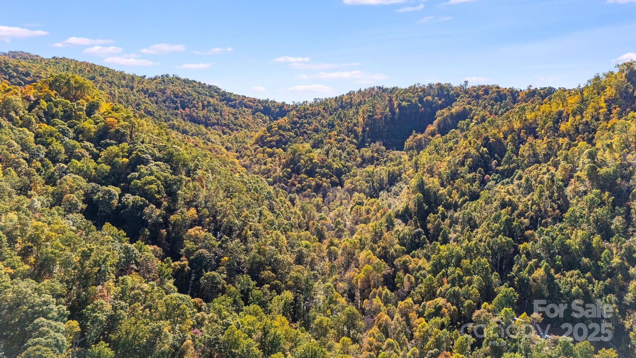 000 Hamburg Road Mars Hill NC 28754