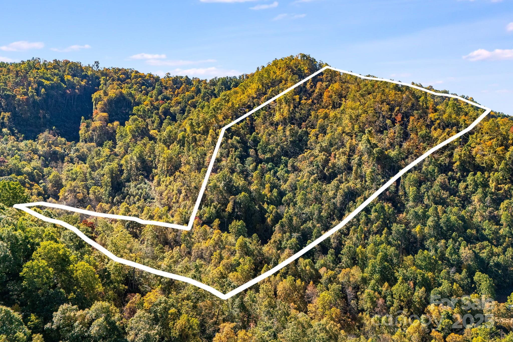 000 Hamburg Road Mars Hill NC 28754