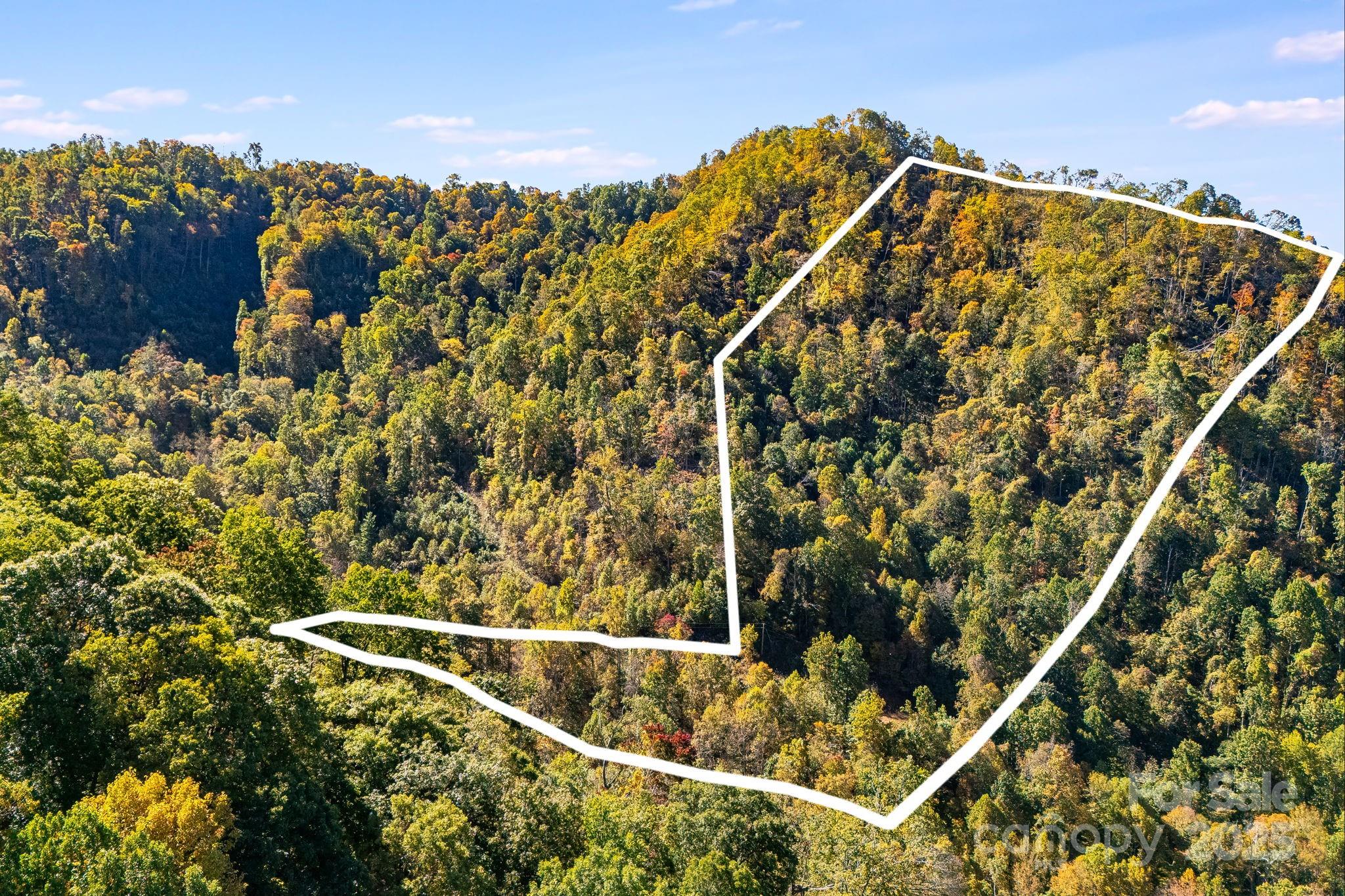 000 Hamburg Road Mars Hill NC 28754