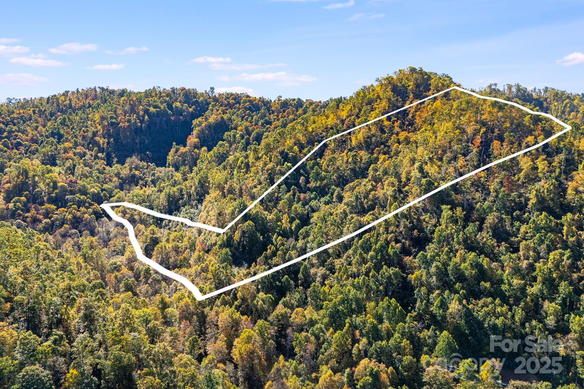 000 Hamburg Road Mars Hill NC 28754