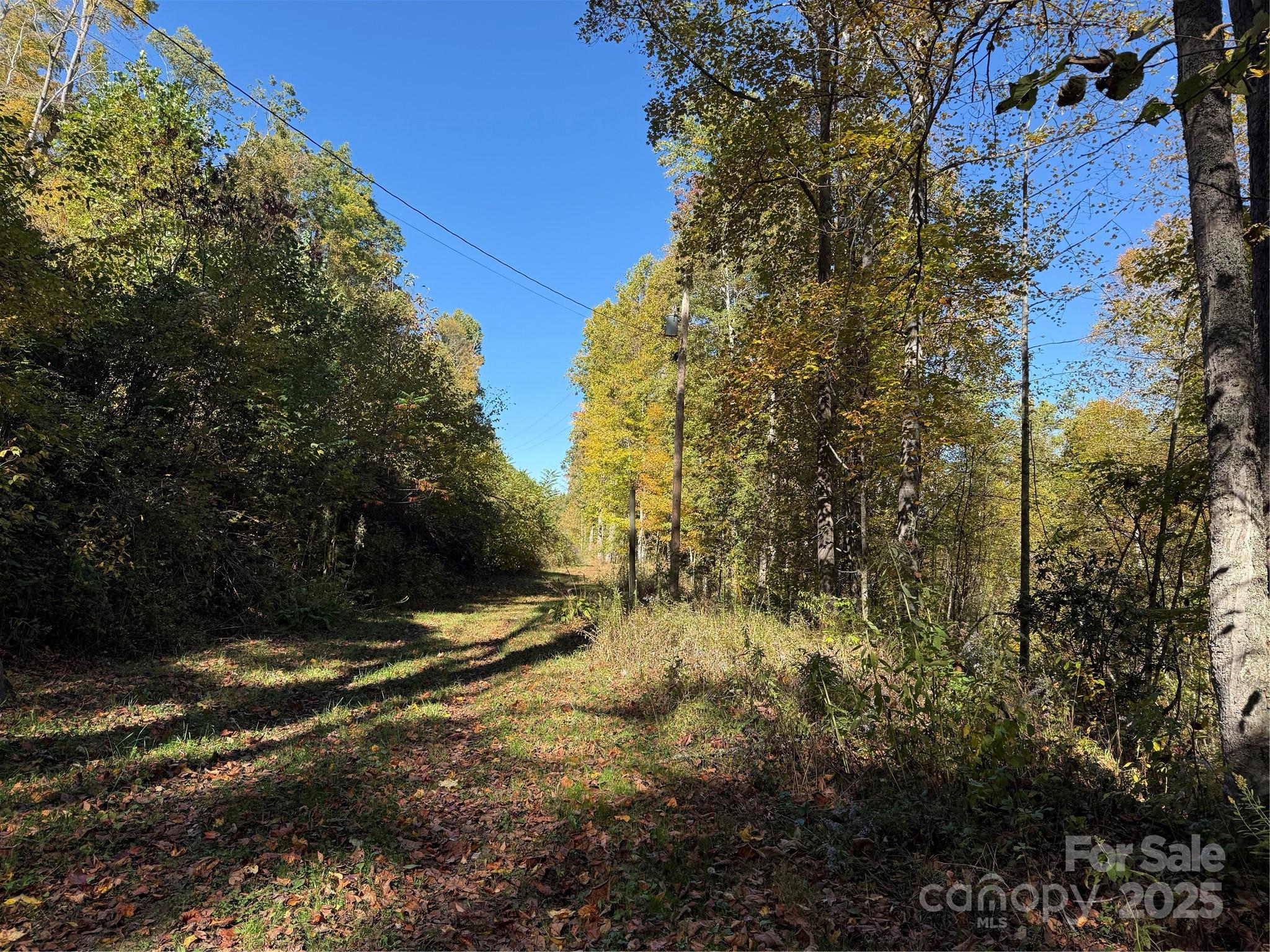 000 Hamburg Road Mars Hill NC 28754