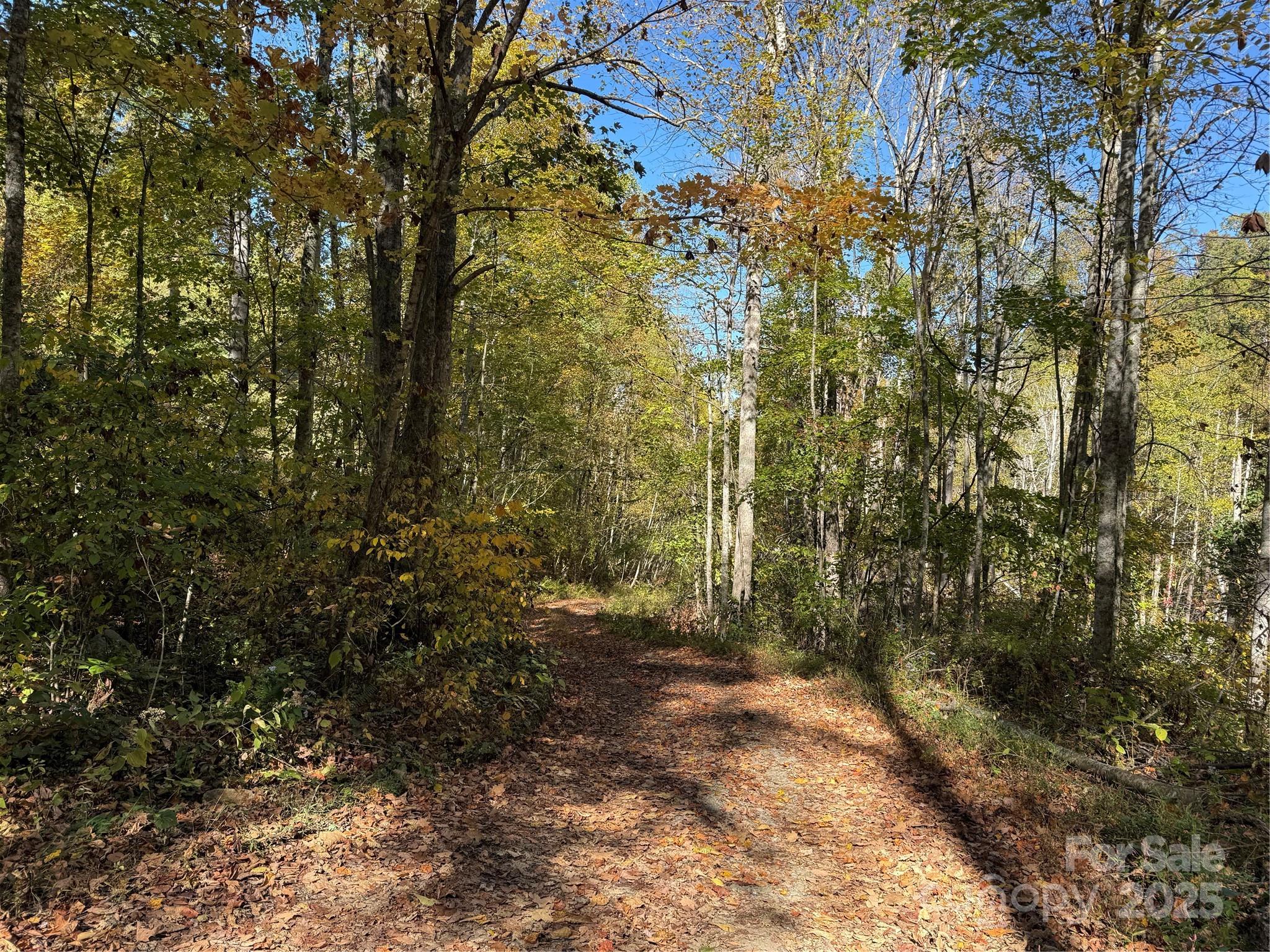 000 Hamburg Road Mars Hill NC 28754