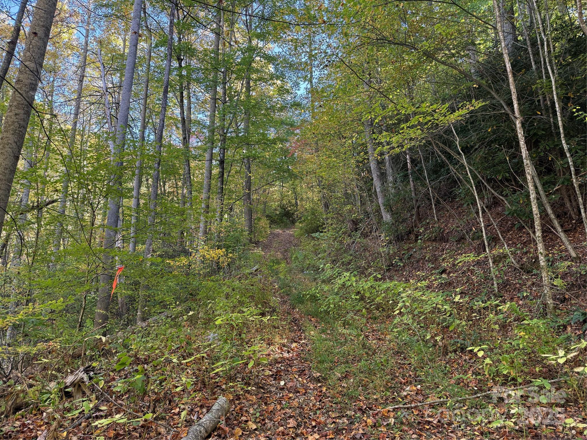 000 Hamburg Road Mars Hill NC 28754