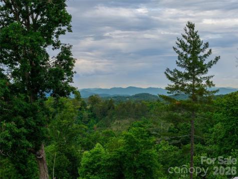 21 Joy Hughes Lane Leicester NC 28748