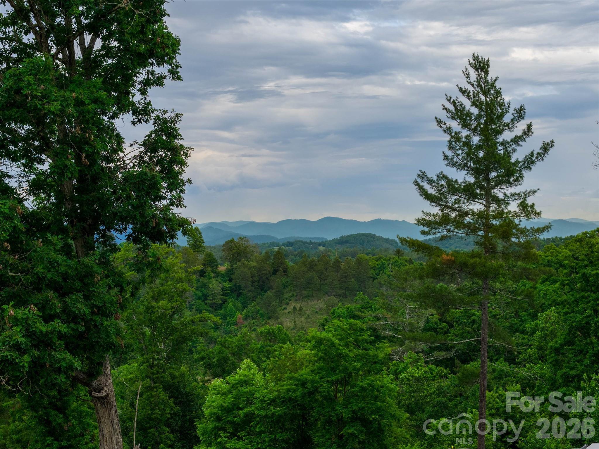 21 Joy Hughes Lane Leicester NC 28748