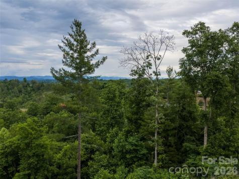 21 Joy Hughes Lane Leicester NC 28748