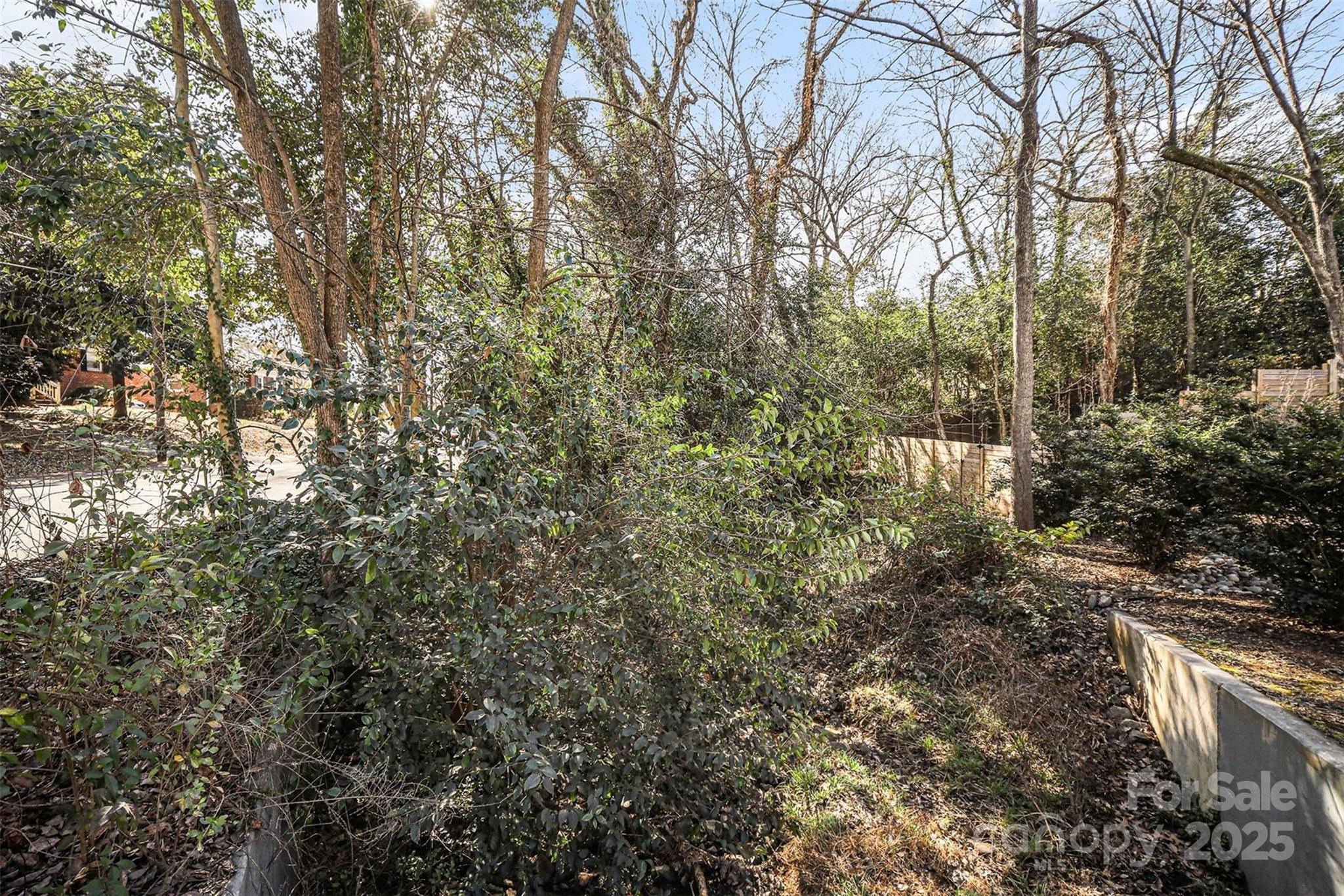 1341 Mulberry Avenue Charlotte NC 28216