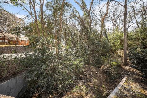 1341 Mulberry Avenue Charlotte NC 28216