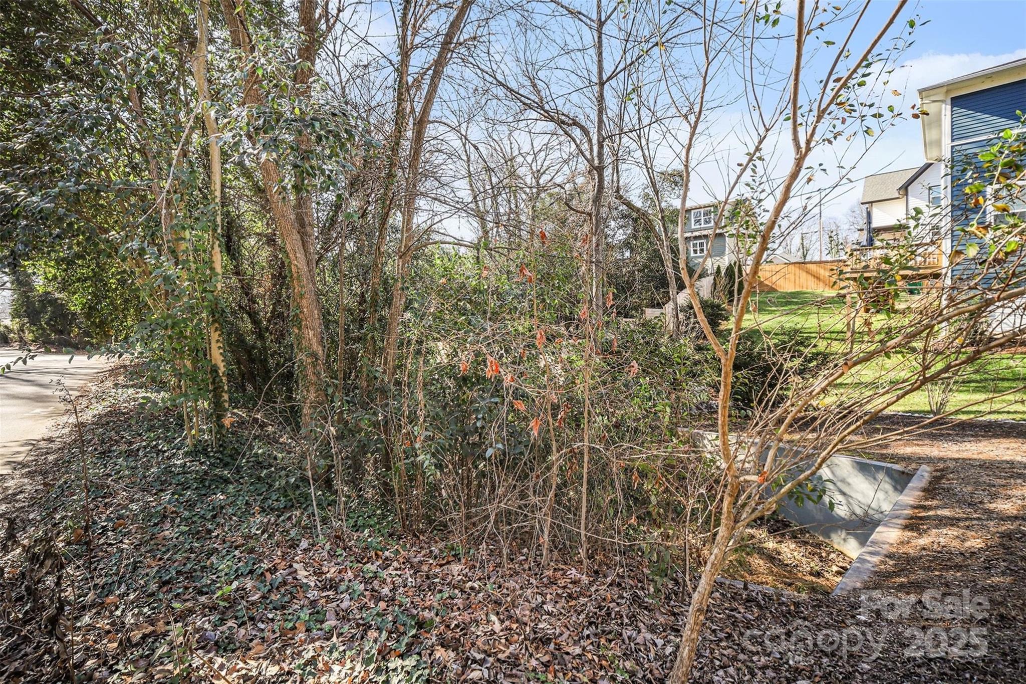 1341 Mulberry Avenue Charlotte NC 28216