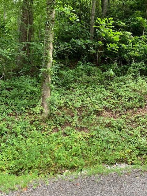 Lot 45-46 Mckenzie Way S Old Fort NC 28762