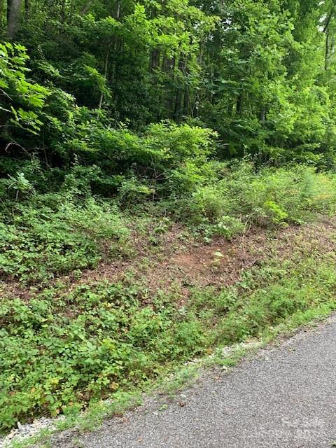 Lot 45-46 Mckenzie Way S Old Fort NC 28762