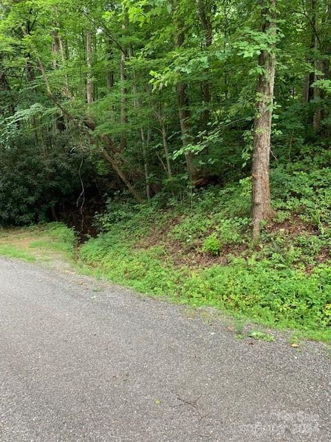 Lot 45-46 Mckenzie Way S Old Fort NC 28762
