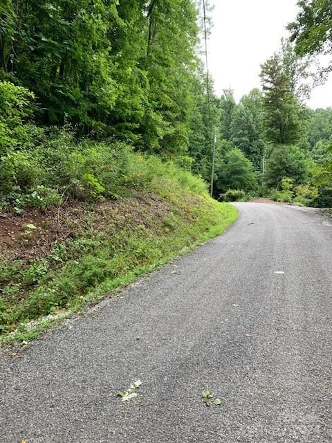 Lot 45-46 Mckenzie Way S Old Fort NC 28762