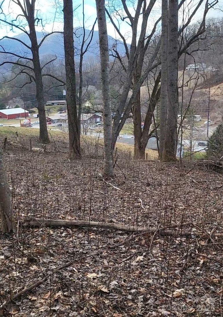 3009 Dellwood Road Waynesville NC 28786