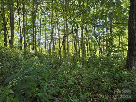 3009 Dellwood Road Waynesville NC 28786