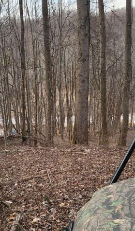 3009 Dellwood Road Waynesville NC 28786