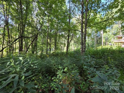 3009 Dellwood Road Waynesville NC 28786