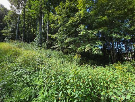 3009 Dellwood Road Waynesville NC 28786