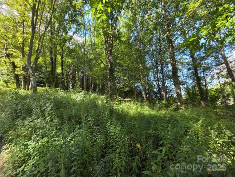 3009 Dellwood Road Waynesville NC 28786