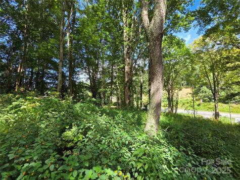 3009 Dellwood Road Waynesville NC 28786