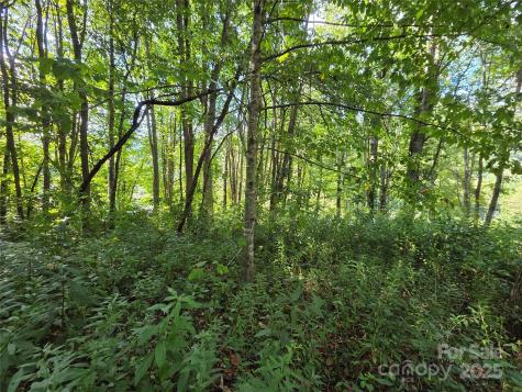 3009 Dellwood Road Waynesville NC 28786