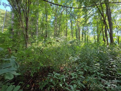 3009 Dellwood Road Waynesville NC 28786