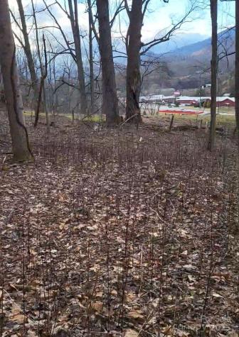 3009 Dellwood Road Waynesville NC 28786