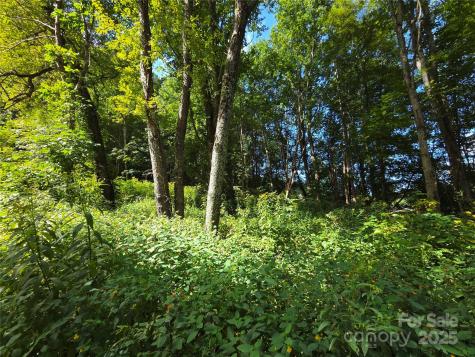 3009 Dellwood Road Waynesville NC 28786