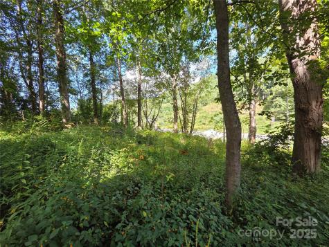 3009 Dellwood Road Waynesville NC 28786