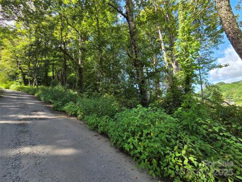 3009 Dellwood Road Waynesville NC 28786