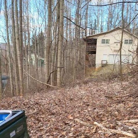 3009 Dellwood Road Waynesville NC 28786