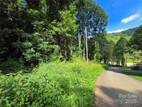 3009 Dellwood Road Waynesville NC 28786