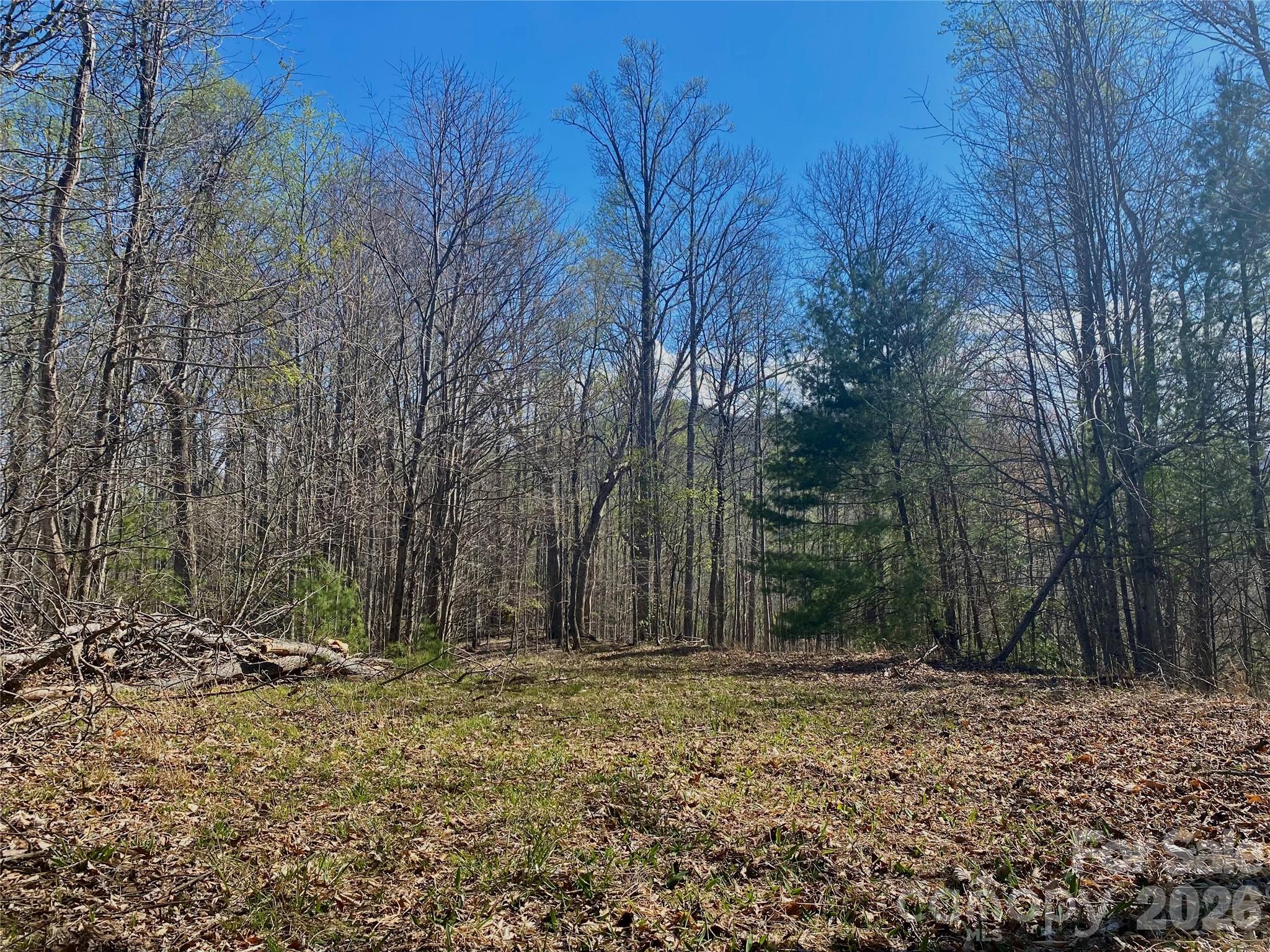 00 Scenic View Drive Green Mountain NC 28740