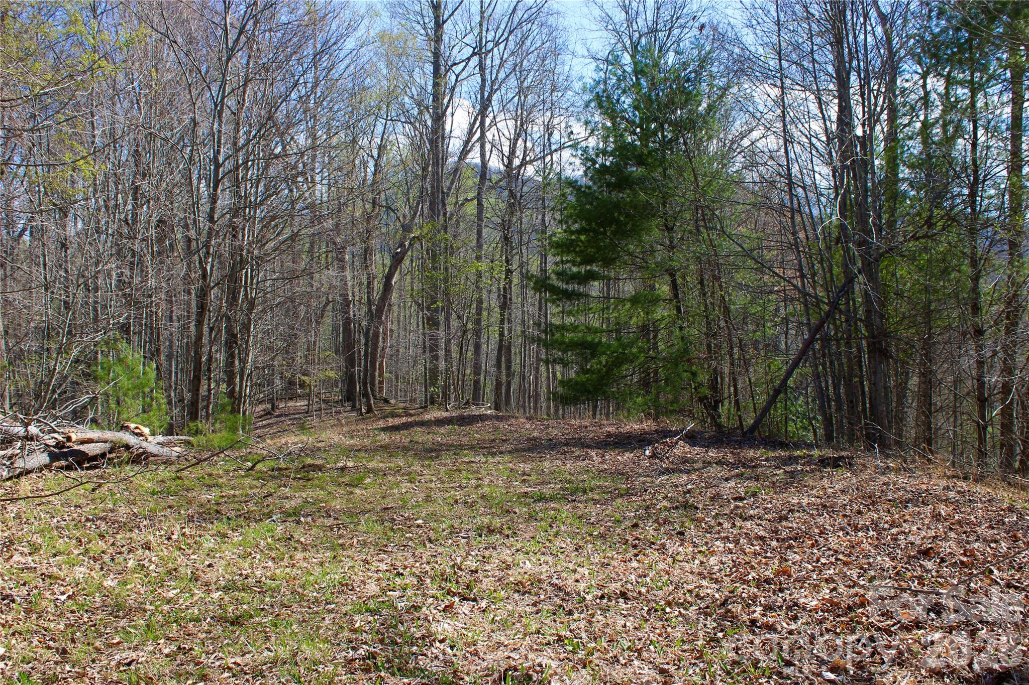 00 Scenic View Drive Green Mountain NC 28740