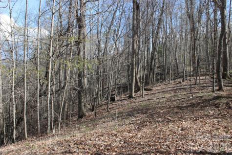 00 Scenic View Drive Green Mountain NC 28740