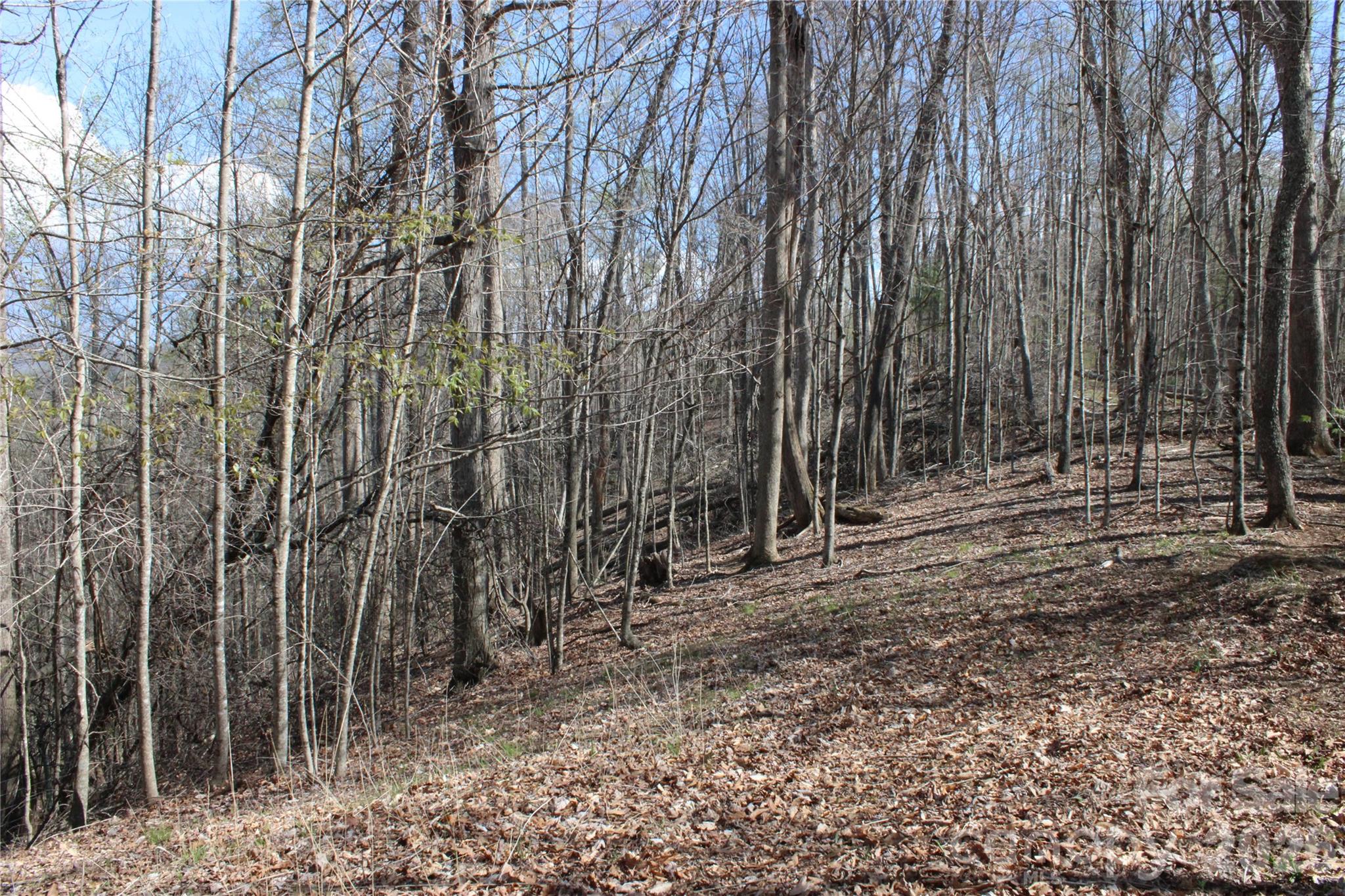 00 Scenic View Drive Green Mountain NC 28740