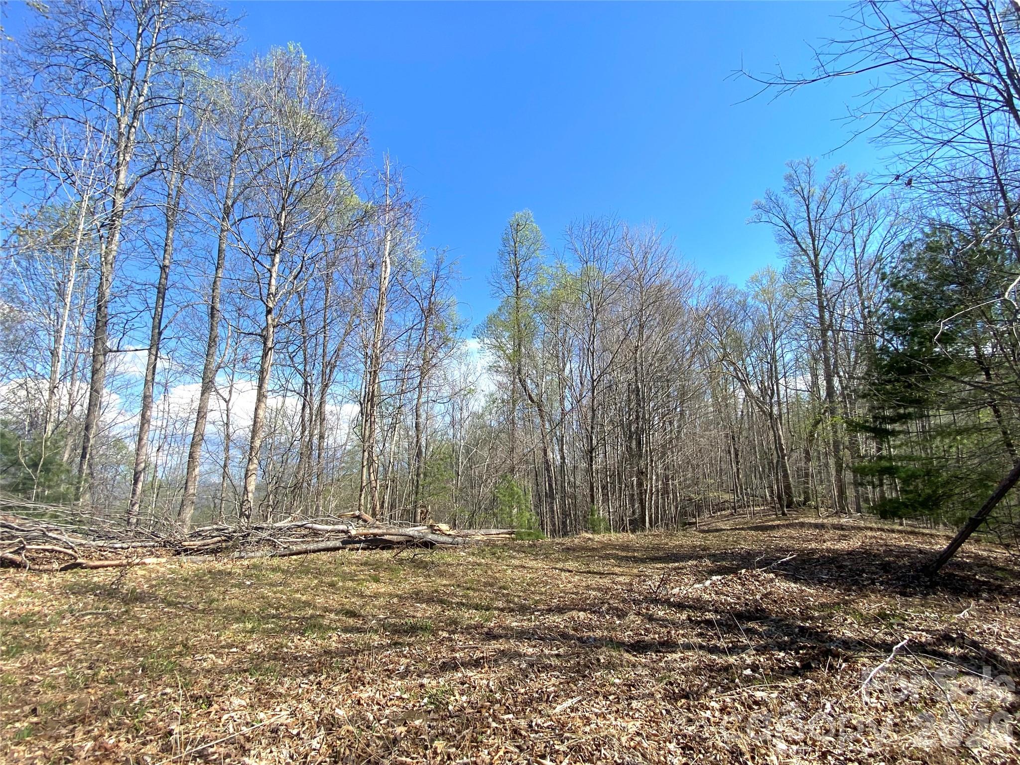 00 Scenic View Drive Green Mountain NC 28740
