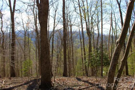 00 Scenic View Drive Green Mountain NC 28740