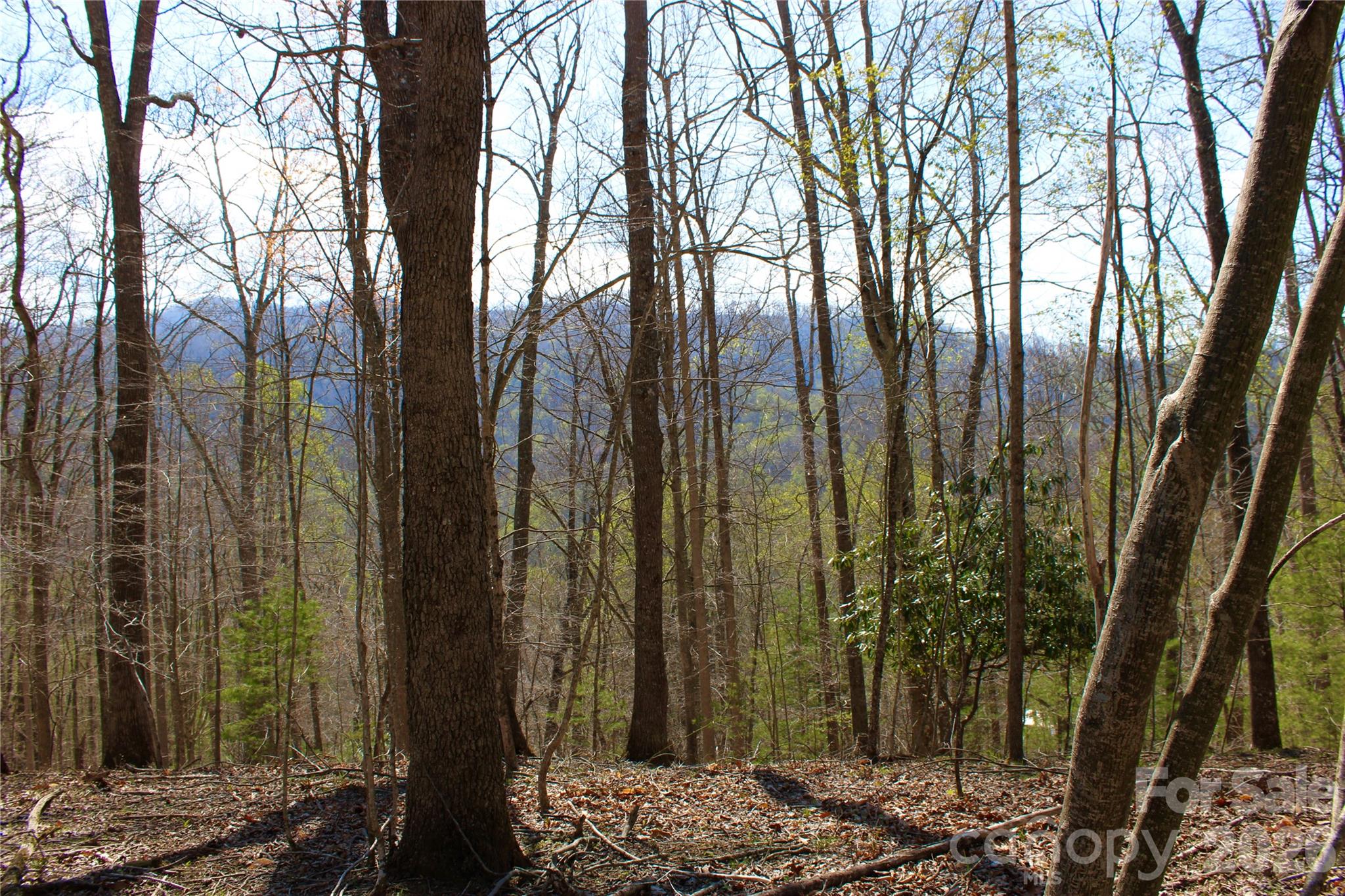 00 Scenic View Drive Green Mountain NC 28740