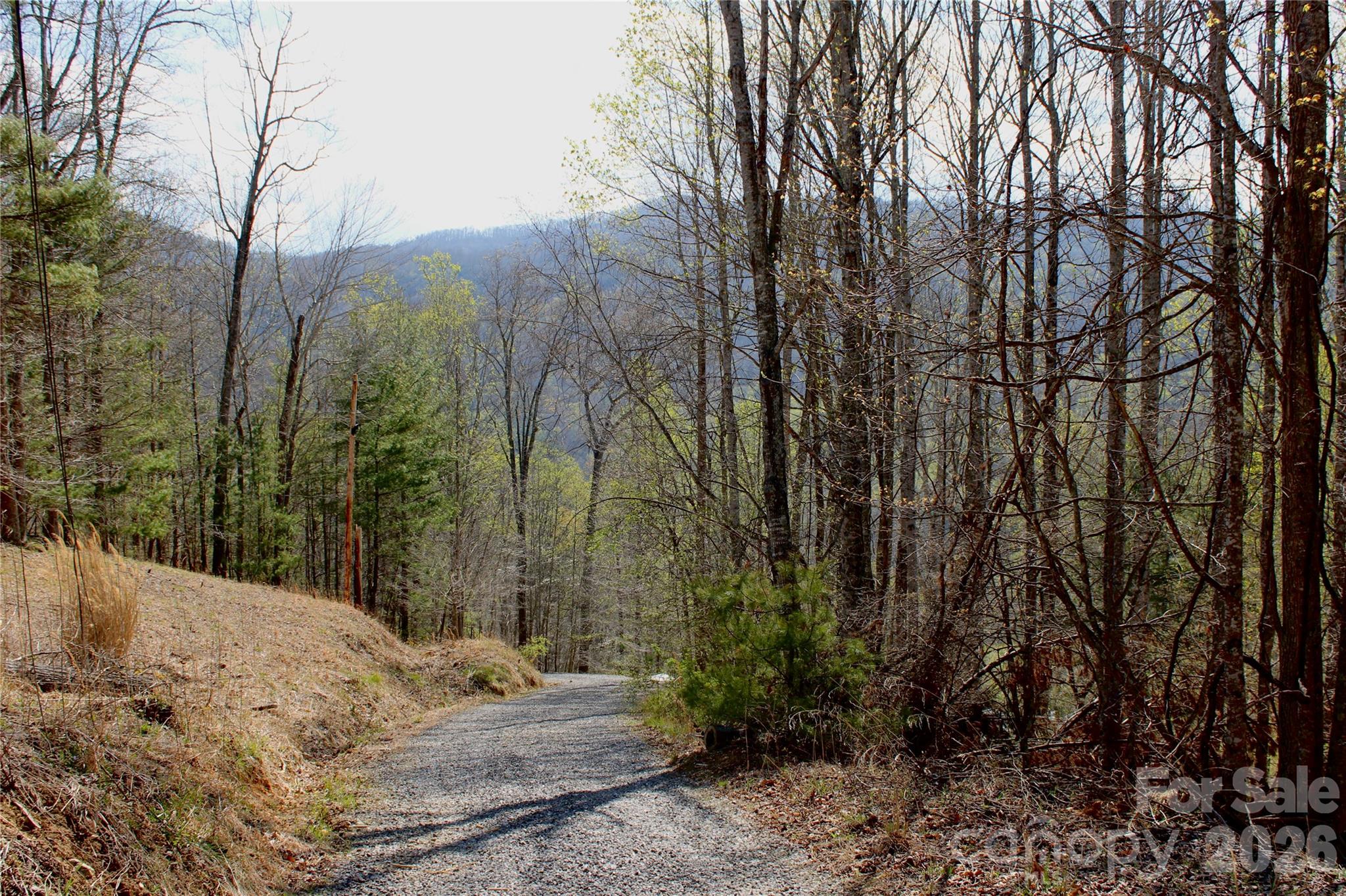 00 Scenic View Drive Green Mountain NC 28740